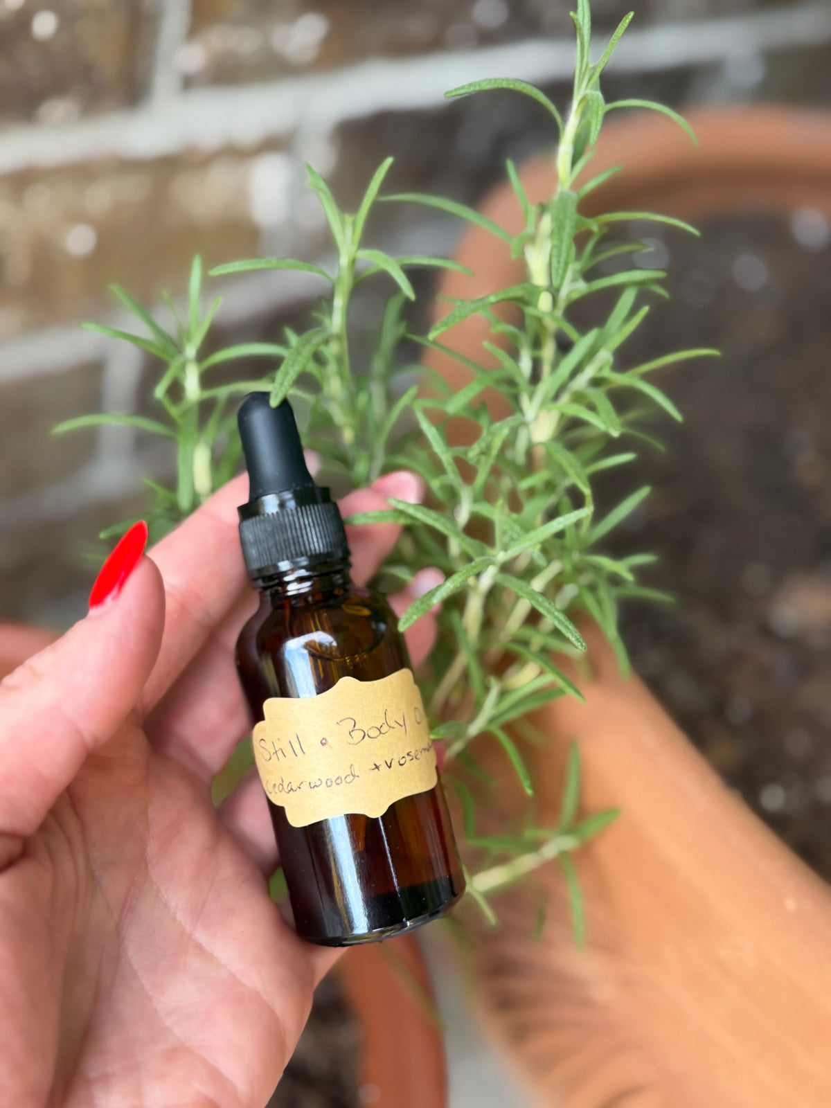 Still • Body Oil